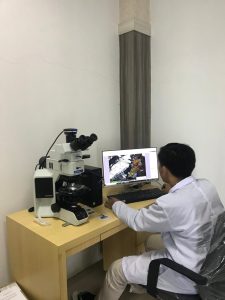 6. SEM (Scanning Electron Microscope) Merek ThermoScientific tipe Axia ChemiSEM Hivac