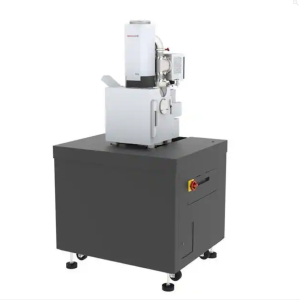 Scanning Electron Microscope (SEM)